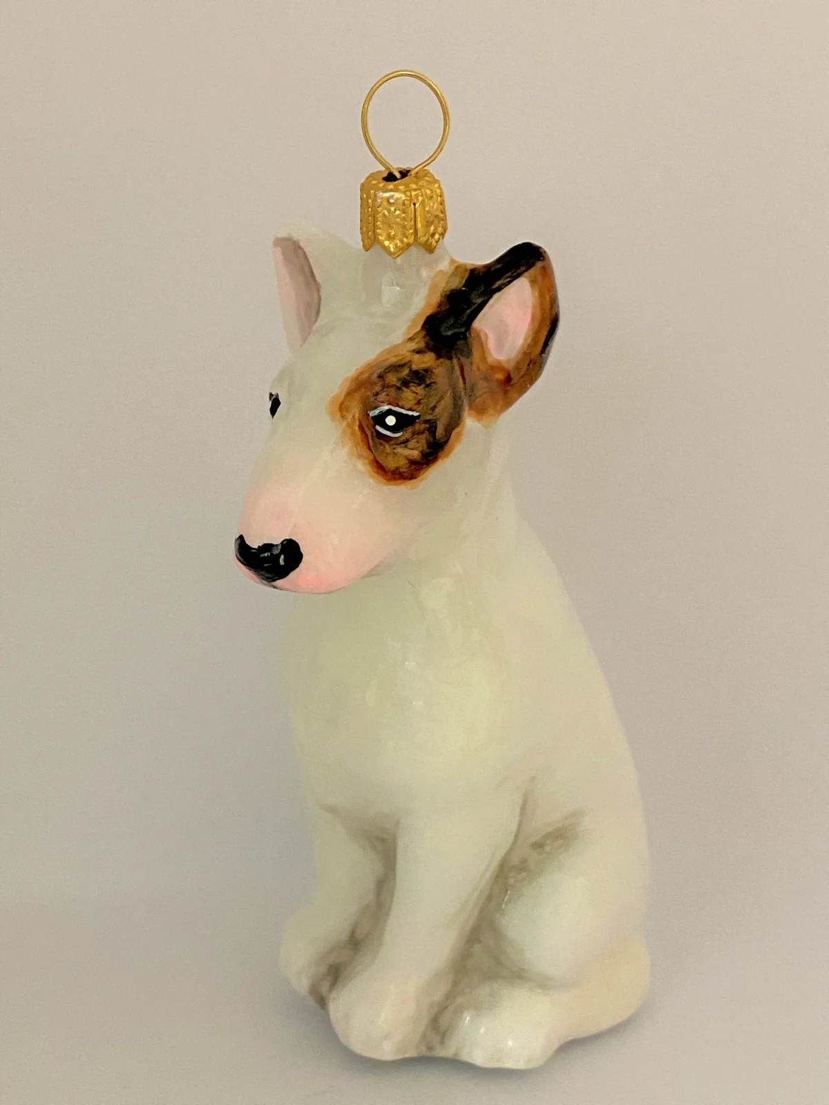 Komozja Mini Bull Terrier, KOMOZJA MOSTOWSKI