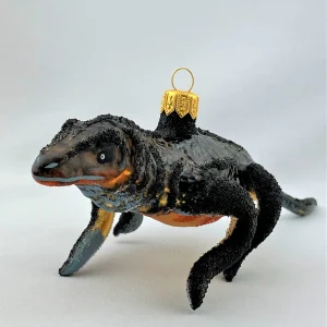 Wiktoria Grosser Komodo-Waran