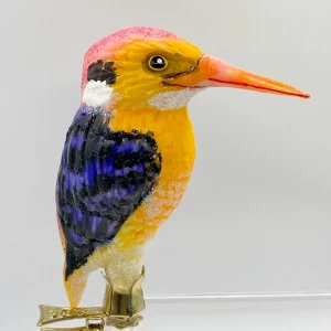 Wiktoria Asiatischer Zwerg-Eisvogel, Kingfisher