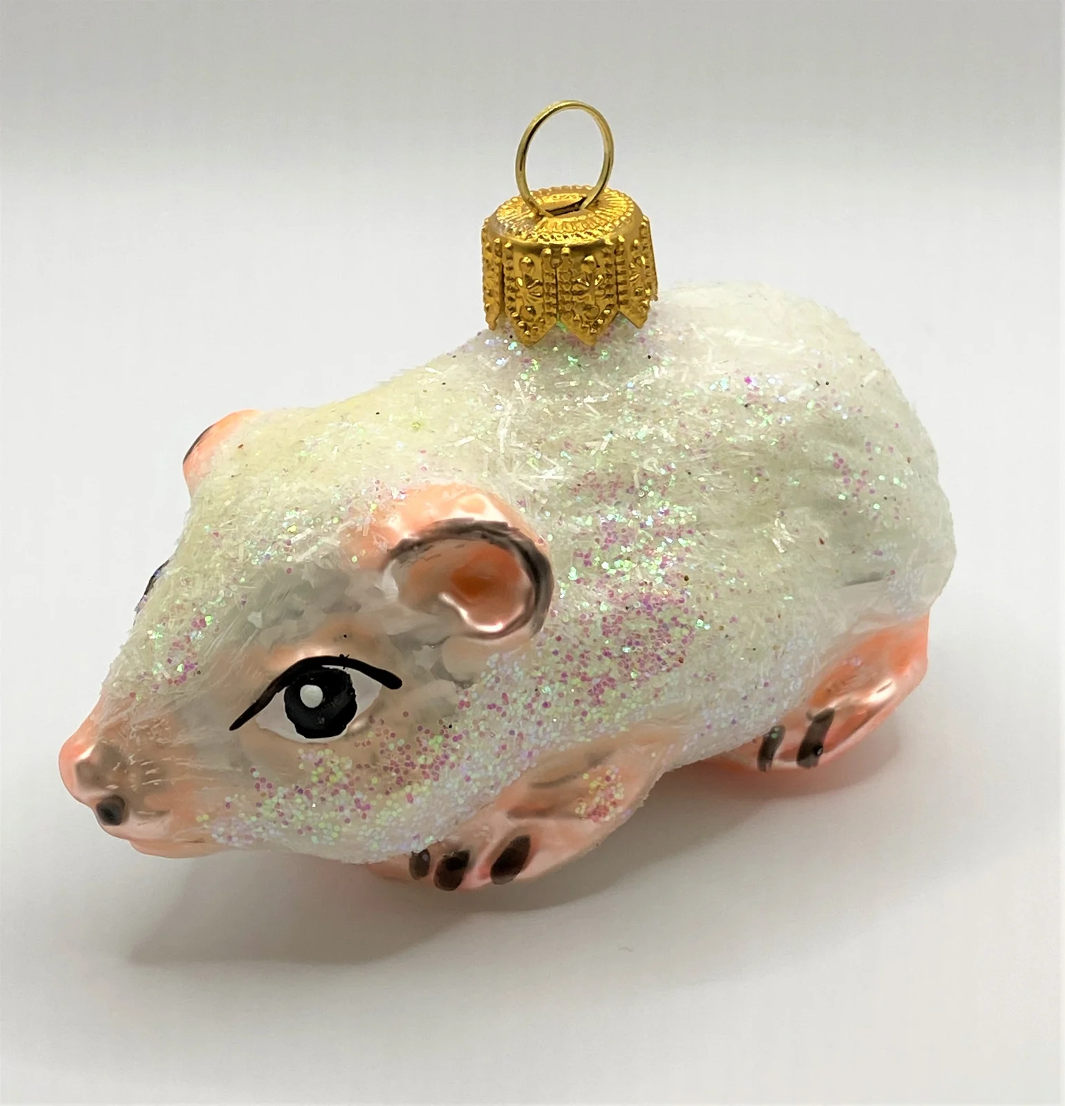 Wiktoria Weisses Meerschweinchen