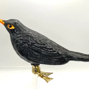 Wiktoria Grosse Amsel auf Clip