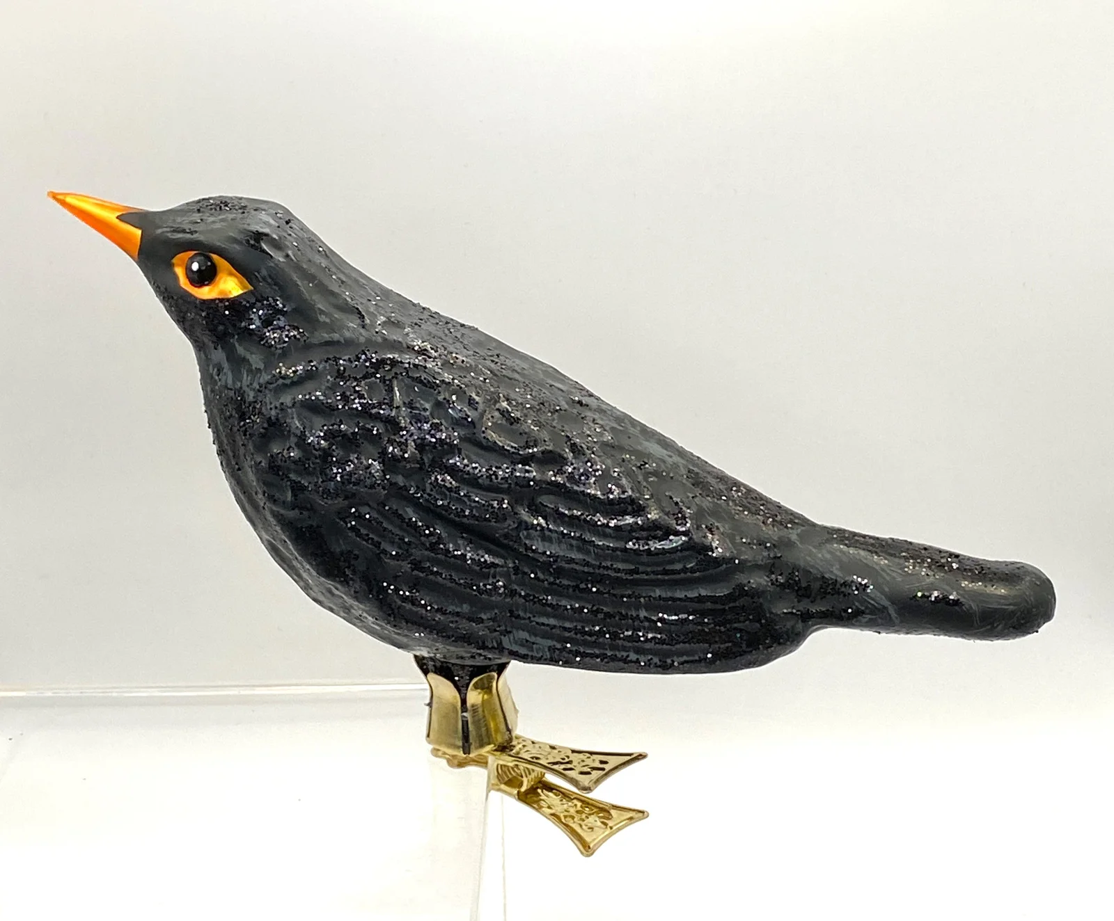Wiktoria Grosse Amsel auf Clip
