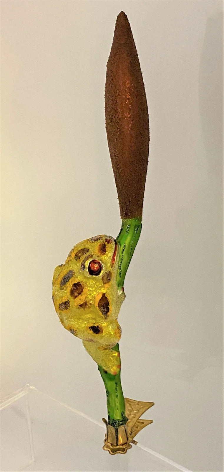 Wiktoria Getupfter Frosch klettert am Rohrschilf