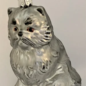 Sonstige Graue Perser-Katze