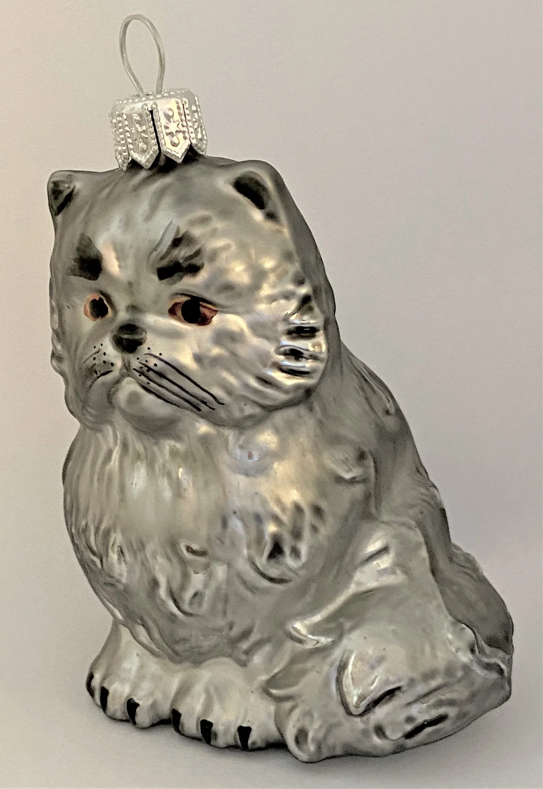 Sonstige Graue Perser-Katze