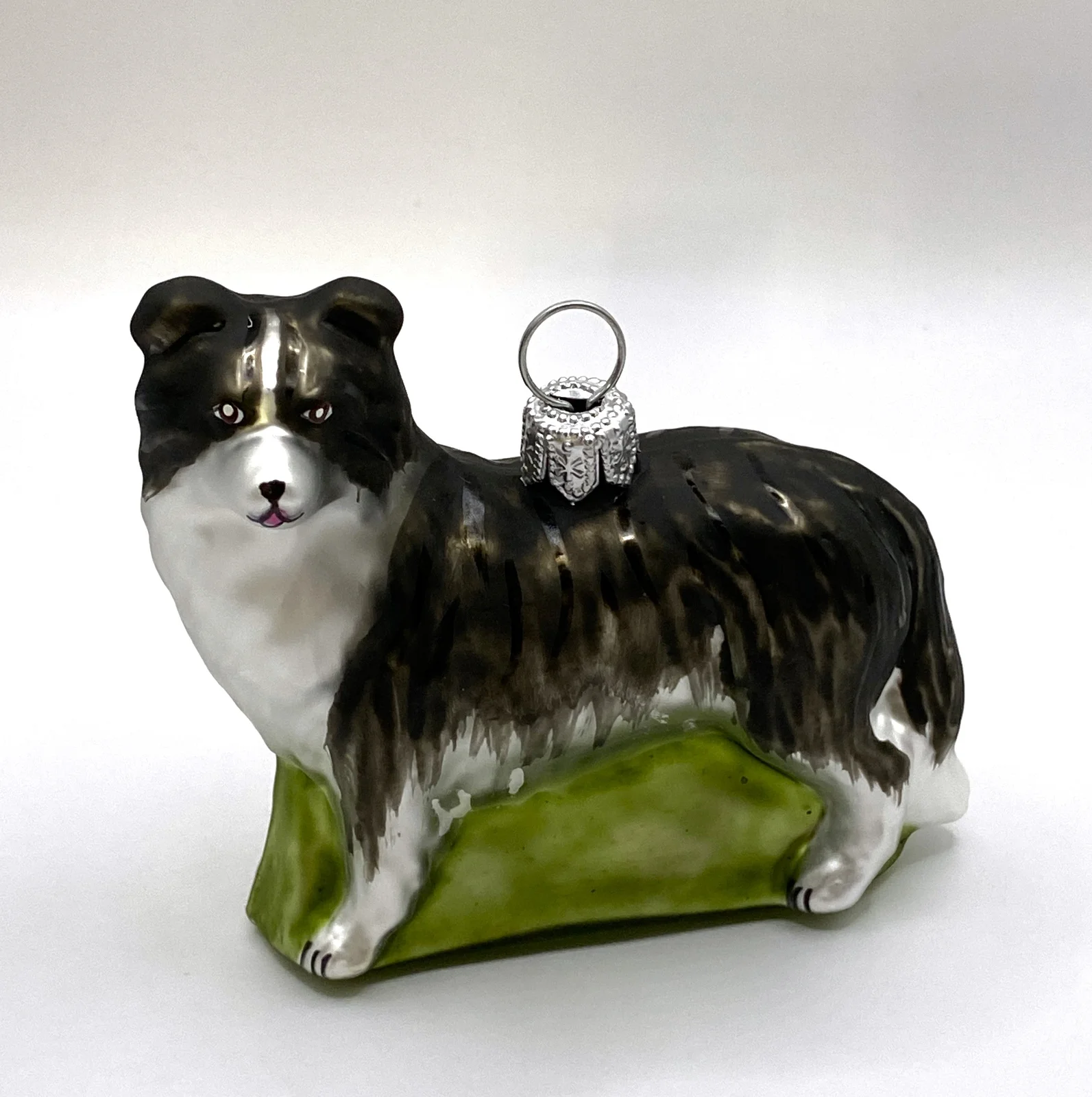 Hanco Border Collie Hund