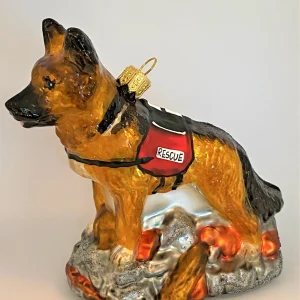 Impuls Deutscher Schäferhund Erdbeben-Suchhund