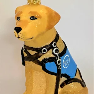Impuls Retriever Blindenhund, Service Dog