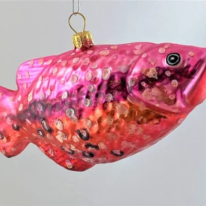 GMC Schützenfisch mit dunklem Längsstreifen