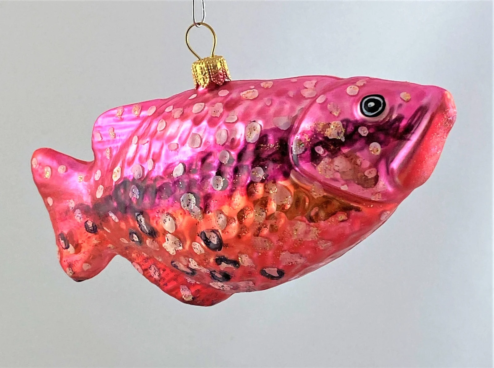 GMC Schützenfisch mit dunklem Längsstreifen