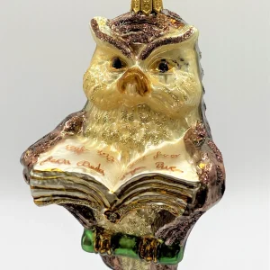 Glassware Braune Eule mit Buch