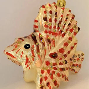 Impuls Pazifischer Rotfeuer-Fisch