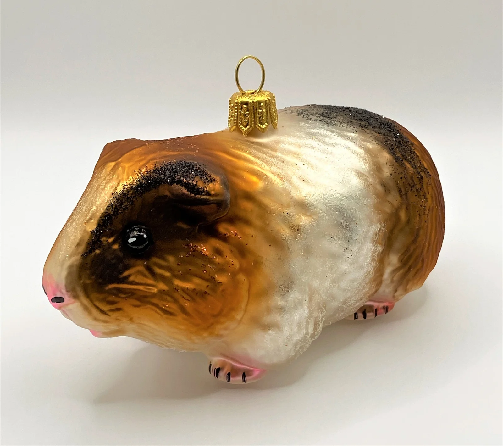 Impuls Freundliches Meerschweinchen