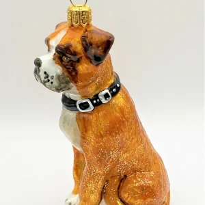 Impuls Boxer-Hund