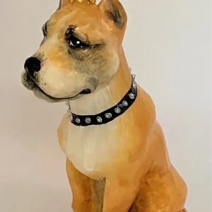 Komozja Brauner  American Staffordshire Terrier, KOMOZJA MOSTOWSKI
