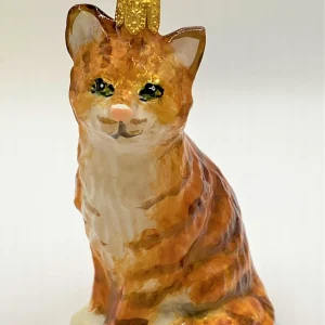 Komozja Rote Tigerkatze, American Shorthair, KOMOZJA MOSTOWSKI