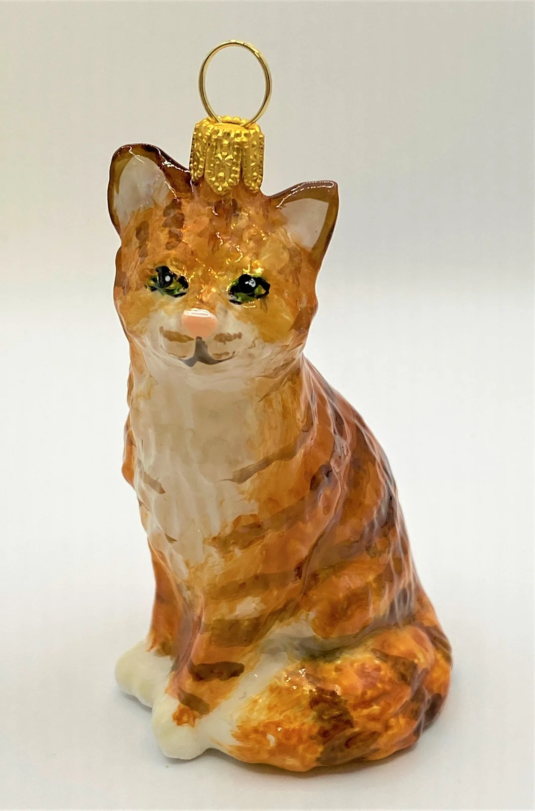 Komozja Rote Tigerkatze, American Shorthair, KOMOZJA MOSTOWSKI