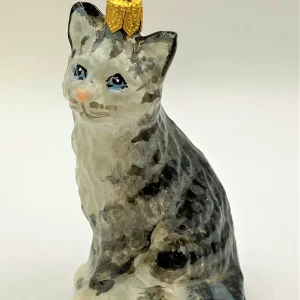 Komozja Graue Tigerkatze, American Shorthair, KOMOZJA MOSTOWSKI