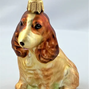 Hanco Brauner Cocker Spaniel