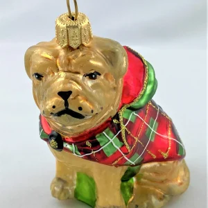 Sonstige Bull Doge im Winterpulli, Bulldogge