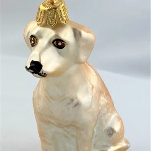 GMC Labrador, gelb