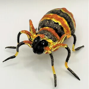 Wiktoria Spinne mit orangen und schwarzen Streifen