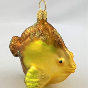 GMC Kleiner Riff-Fisch mit braunen Flossen