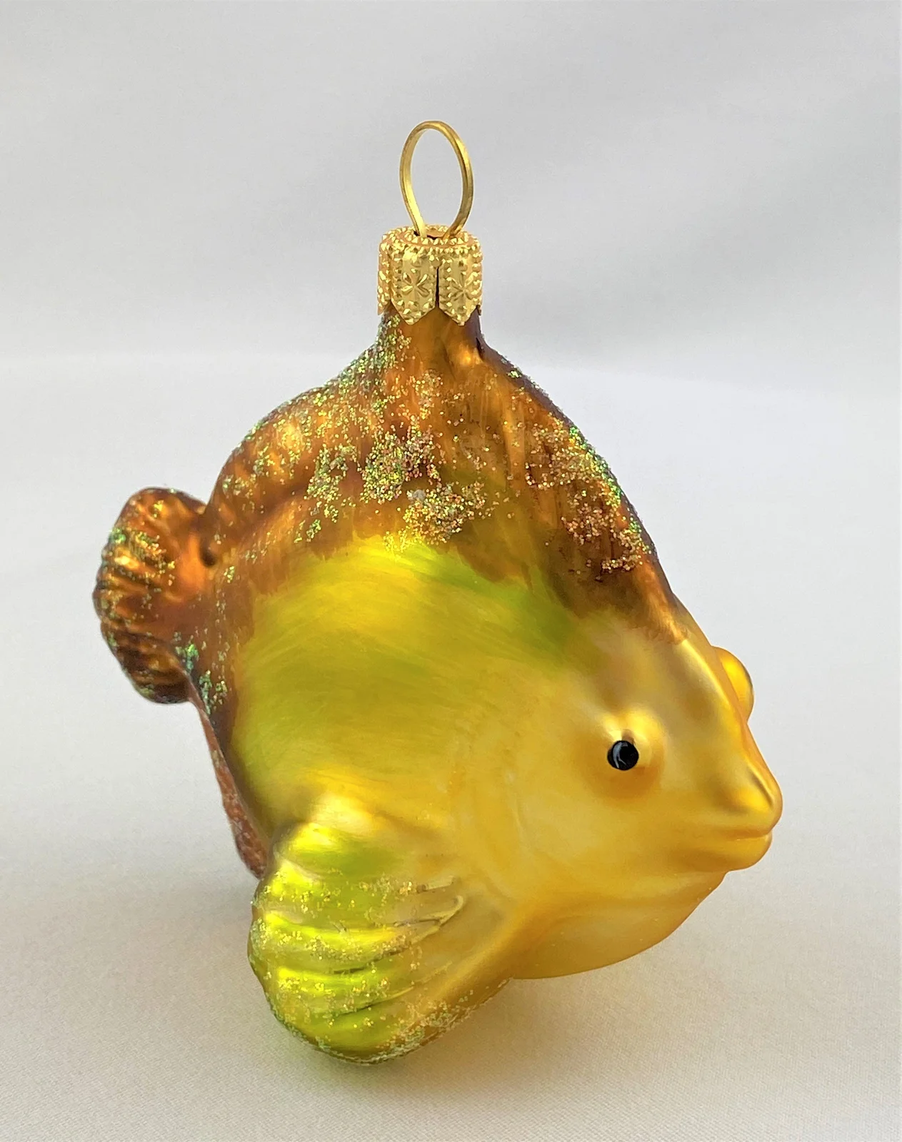 GMC Kleiner Riff-Fisch mit braunen Flossen