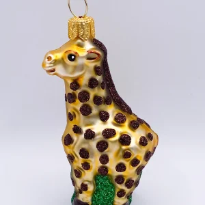 Impuls Kleine Giraffe im Gras