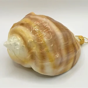 GMC Meeresschnecke quergestreift