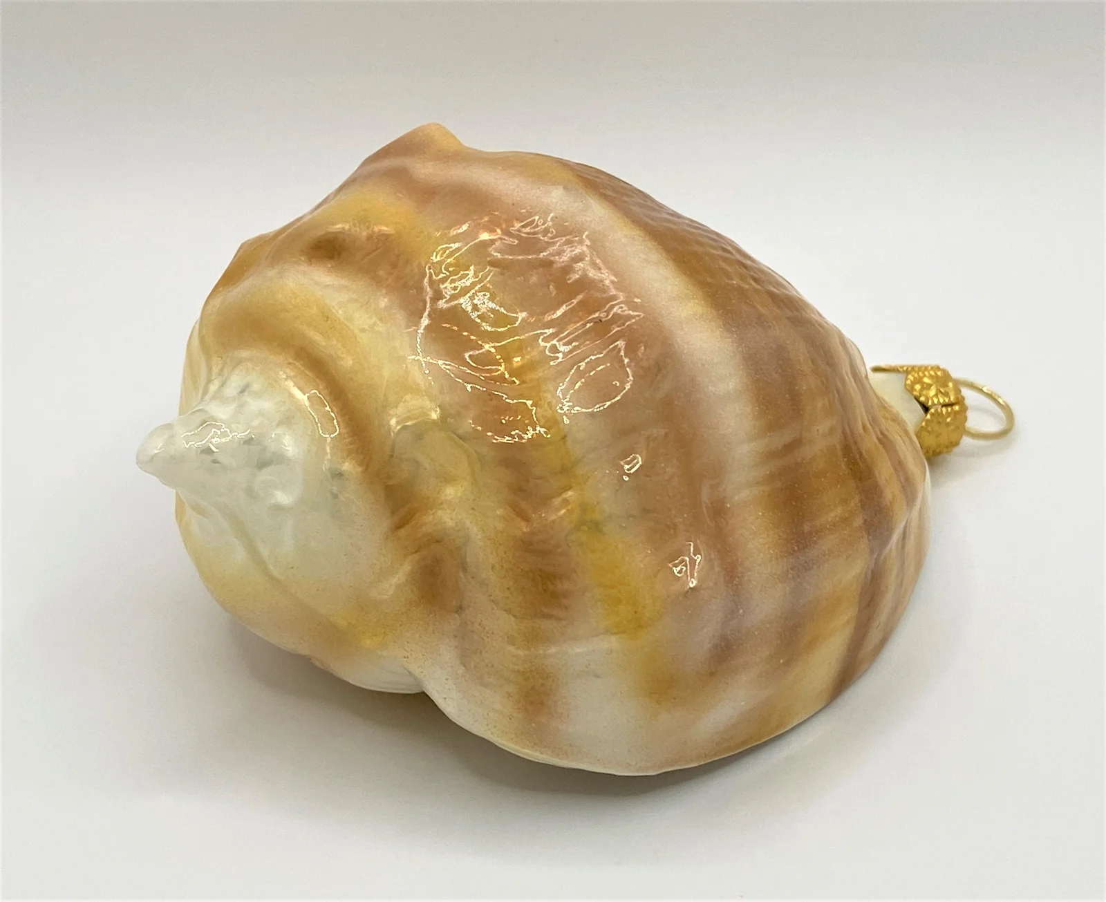 GMC Meeresschnecke quergestreift