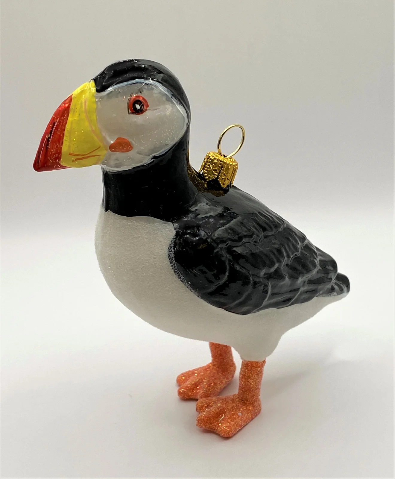 GMC Papageien Taucher