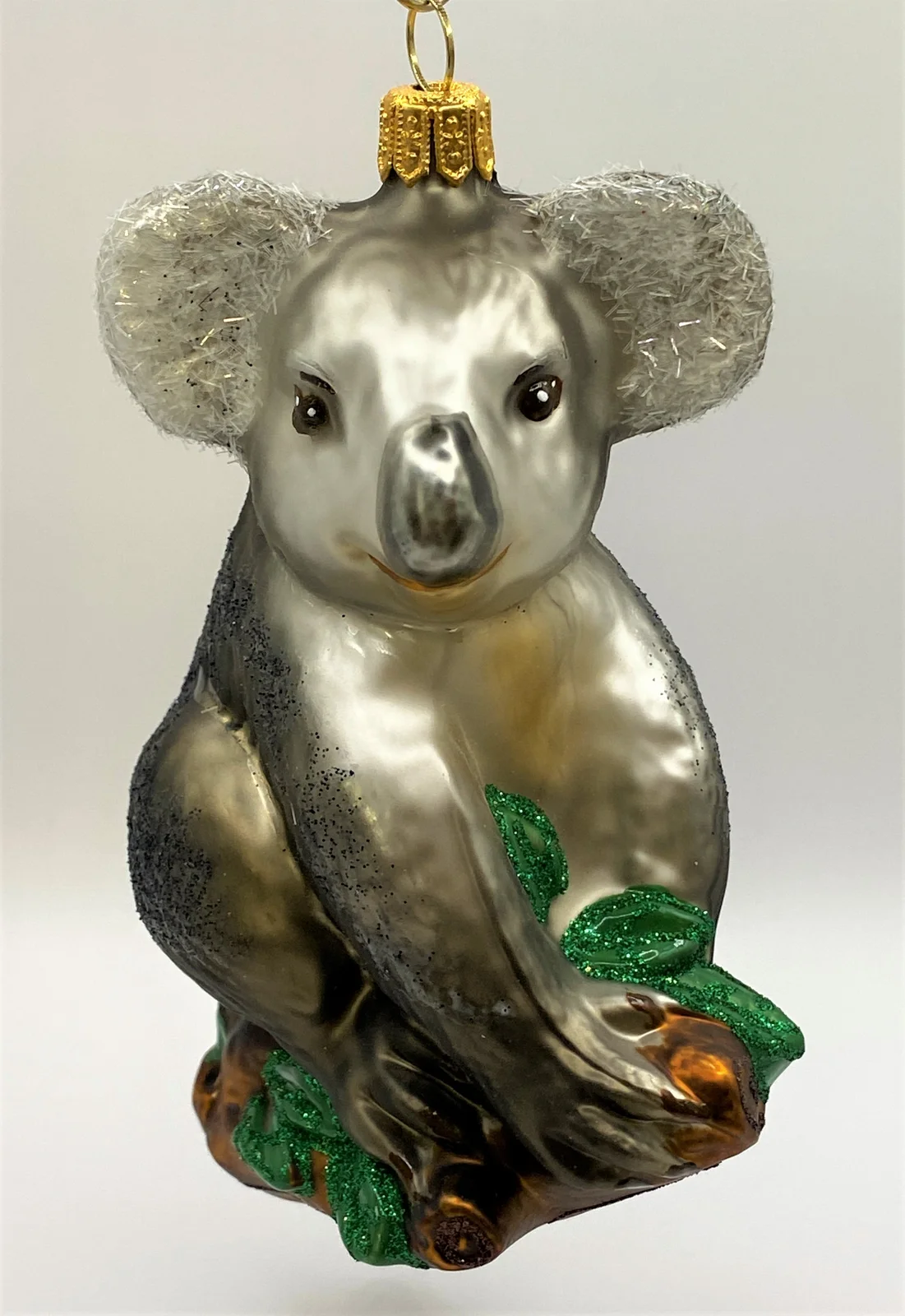Impuls Koala sitzt auf dem Eukalyptusbaum