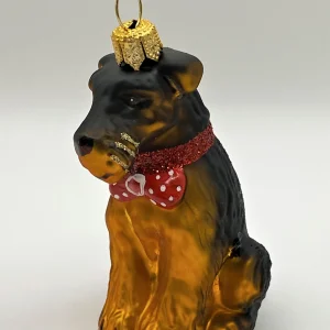 Impuls Airedale Terrier mit rotem Halsband