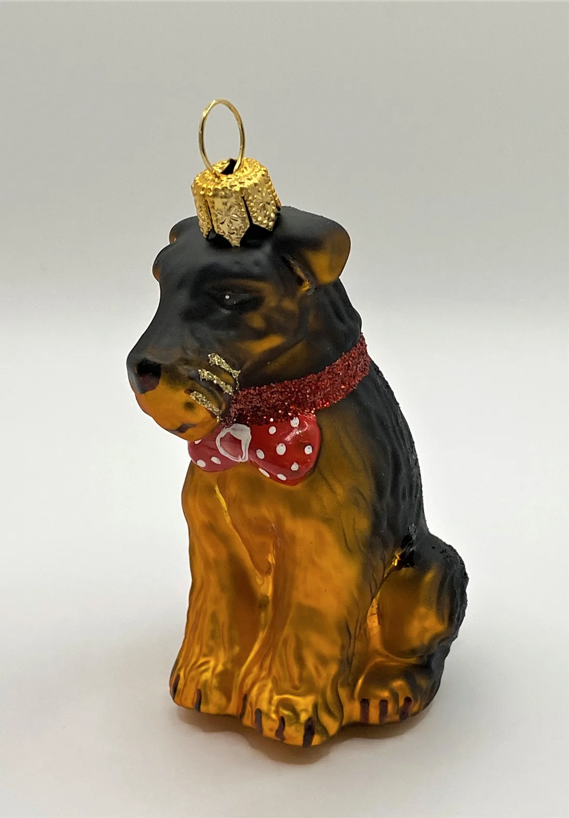Impuls Airedale Terrier mit rotem Halsband