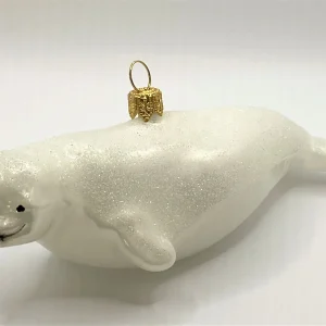 Impuls Beluga Wal