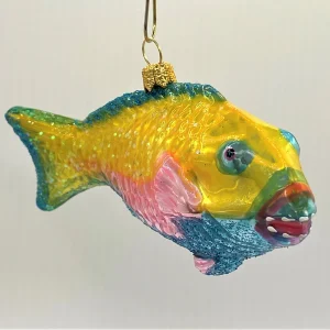 Impuls Bunter Papageifisch