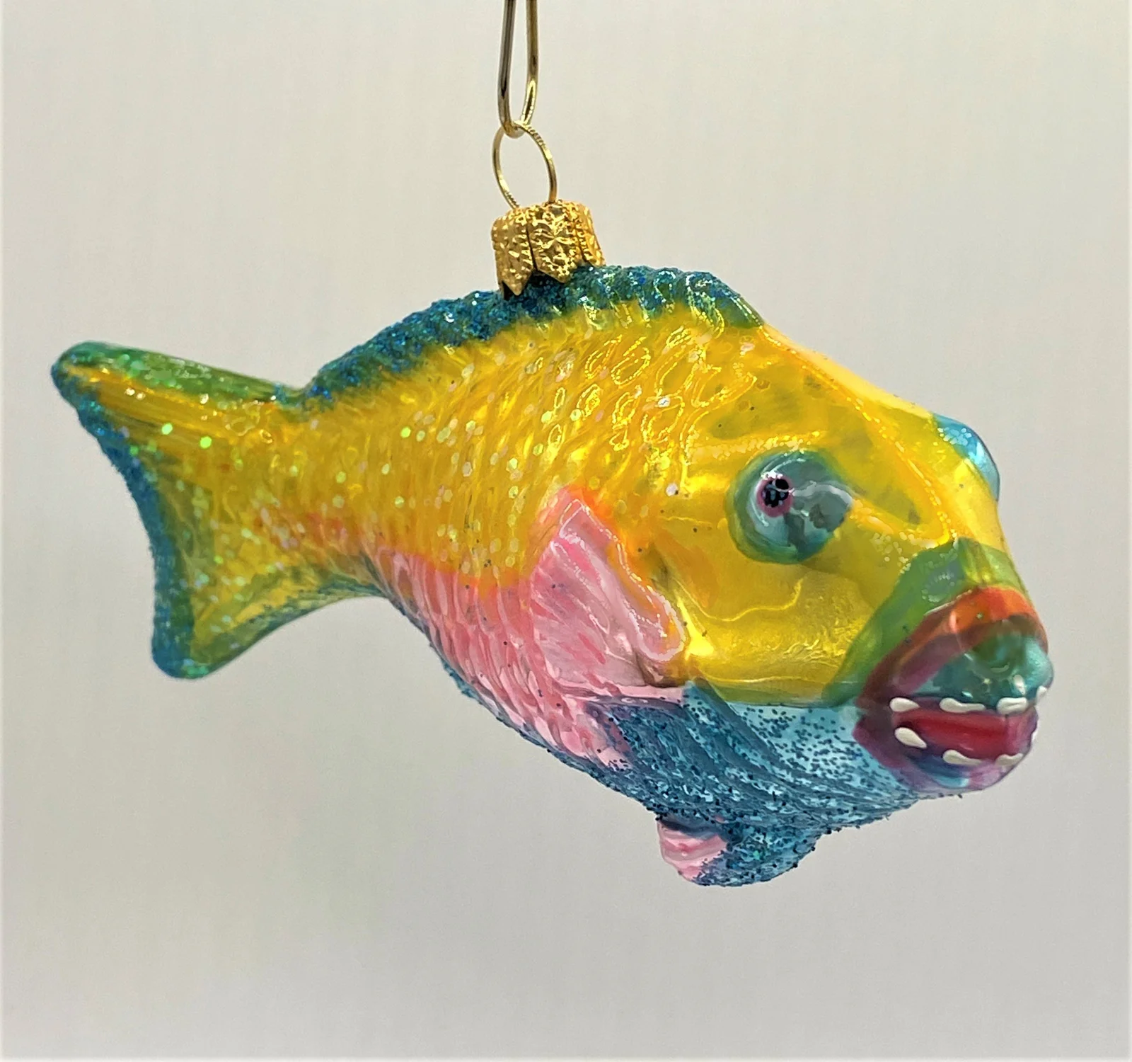 Impuls Bunter Papageifisch