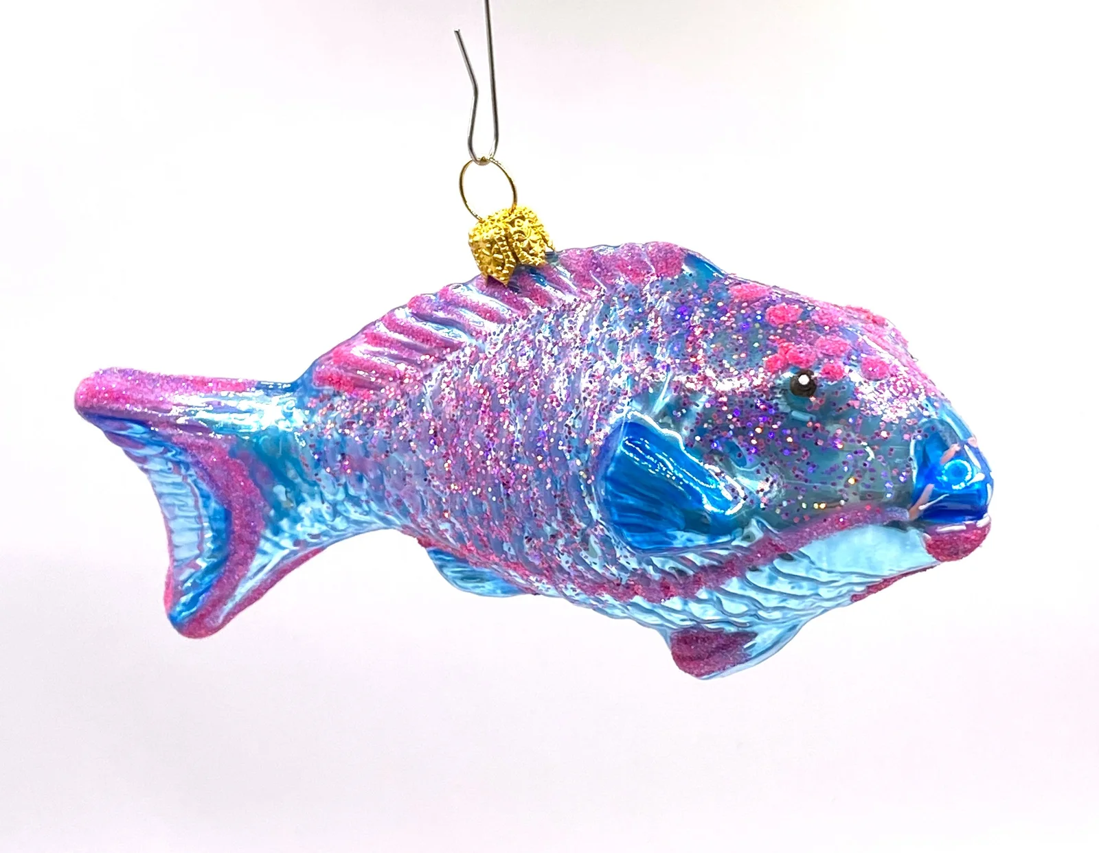 Impuls Blauer Papageifisch