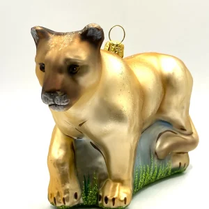 Impuls Puma, Berglöwe
