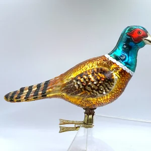 Wiktoria Grosser Jagd-Fasan
