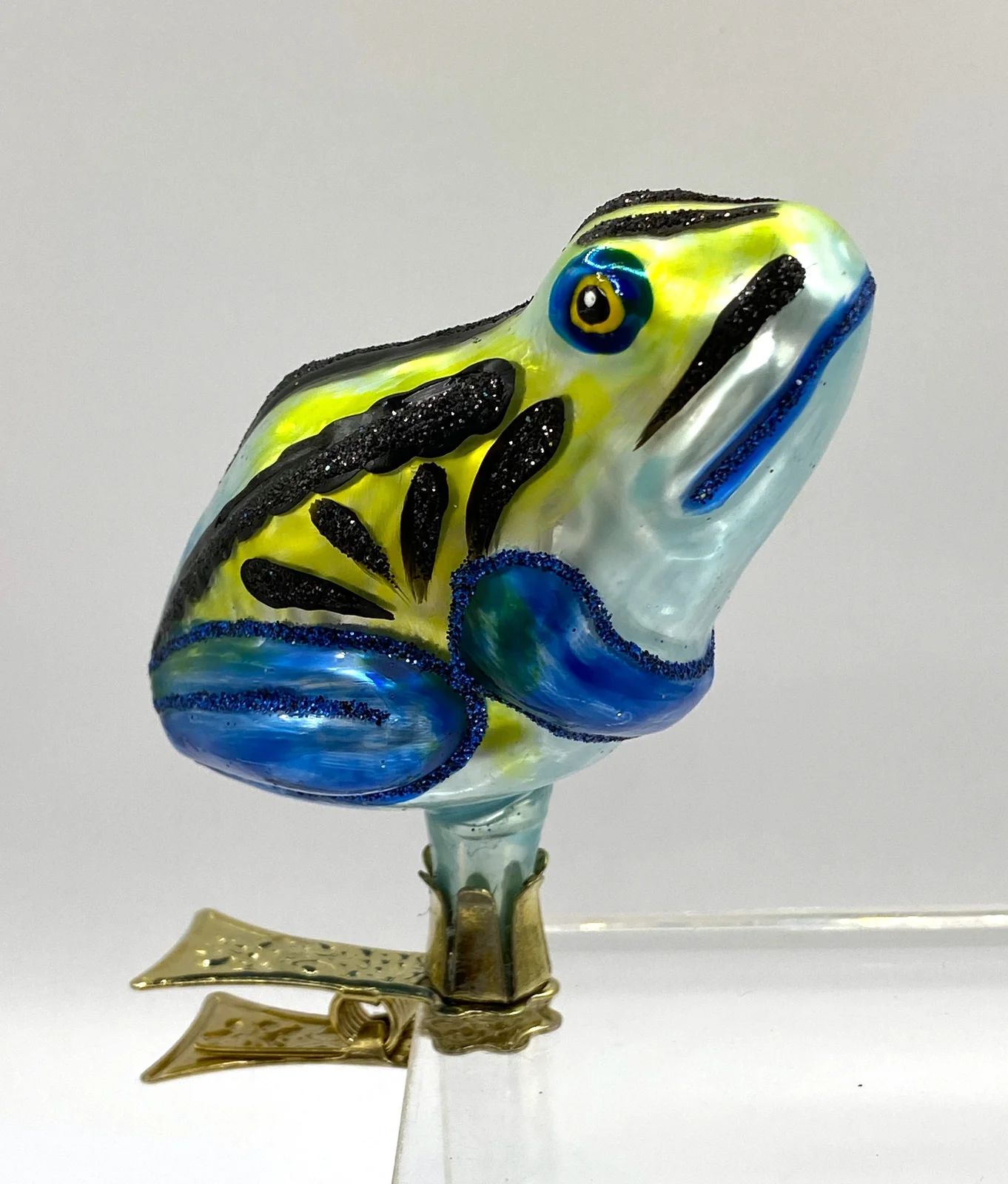 Wiktoria Regenwald - Frosch mit blauen Beinen
