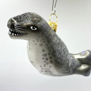 Impuls Seelöwe, Robbe