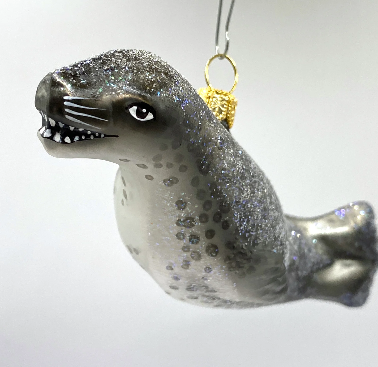 Impuls Seelöwe, Robbe