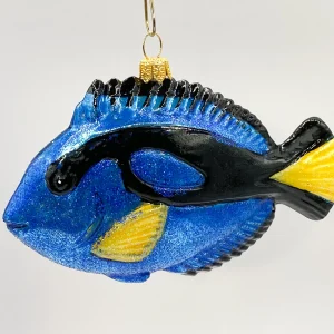Impuls Paletten-Doktorfisch, Dory