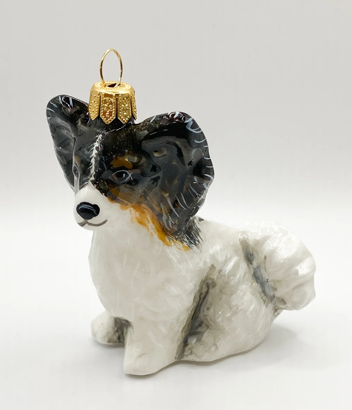 Komozja Papillon Hund KOMOZJA MOSTOWSKI