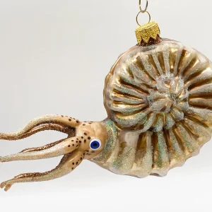 Wiktoria Grosser Nautilus