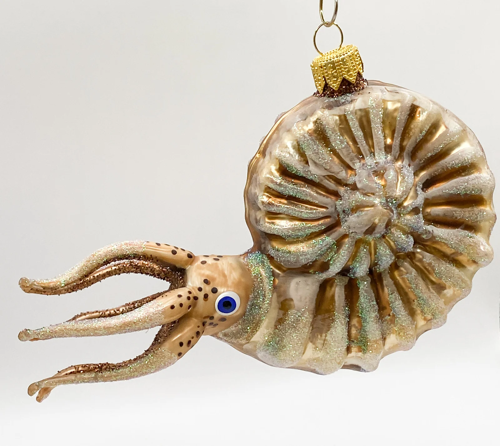 Wiktoria Grosser Nautilus