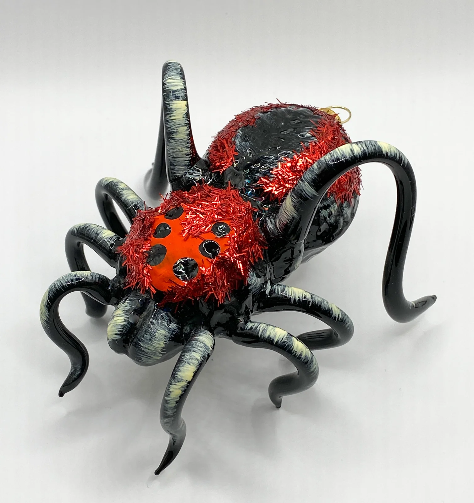 Wiktoria Schwarze Vogelspinne mit rotem Rücken