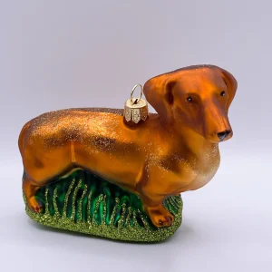 Impuls Brauner Dackel, Dachshund